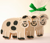 Cow Decorated Cookies